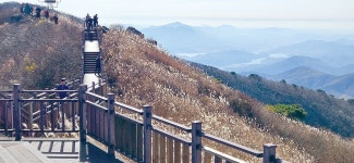 먹거리 - 충청남도 누리집(홈페이지) 충청남도 누리집(홈페이지)
