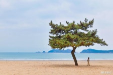 한적한 해변과 비밀 동굴을 찾는다면? 태안 갈음이해수욕장 충청남도 누리집(홈페이지)