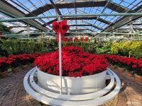 사는 이야기 - 충청남도 누리집(홈페이지) 충청남도 누리집(홈페이지)