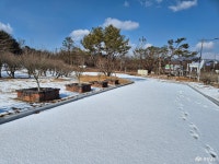 사는 이야기 - 충청남도 누리집(홈페이지) 충청남도 누리집(홈페이지)