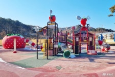 먹거리 - 충청남도 누리집(홈페이지) 충청남도 누리집(홈페이지)