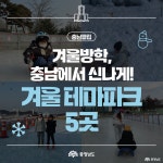 카드뉴스 - 충청남도 누리집(홈페이지) 충청남도 누리집(홈페이지)