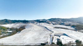 시군뉴스 - 충청남도 누리집(홈페이지) 충청남도 누리집(홈페이지)