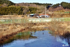 여행 - 충청남도 누리집(홈페이지) 충청남도 누리집(홈페이지)
