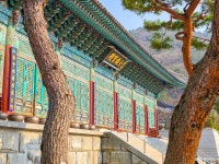 여행 - 충청남도 누리집(홈페이지) 충청남도 누리집(홈페이지)
