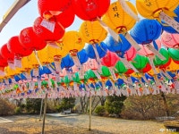 여행 - 충청남도 누리집(홈페이지) 충청남도 누리집(홈페이지)