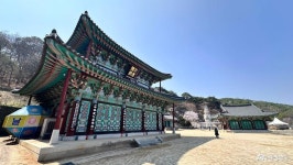사는 이야기 - 충청남도 누리집(홈페이지) 충청남도 누리집(홈페이지)
