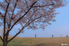 여행 - 충청남도 누리집(홈페이지) 충청남도 누리집(홈페이지)