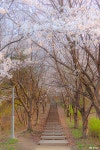 여행 - 충청남도 누리집(홈페이지) 충청남도 누리집(홈페이지)