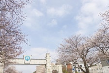 문화, 역사 - 충청남도 누리집(홈페이지) 충청남도 누리집(홈페이지)