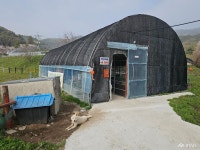 수선화와 함께 봄이 찾아온 홍성 거북이마을 충청남도 누리집(홈페이지)
