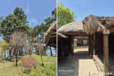 여행 - 충청남도 누리집(홈페이지) 충청남도 누리집(홈페이지)