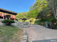 전체기사 - 충청남도 누리집(홈페이지) 충청남도 누리집(홈페이지)
