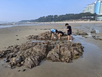 사람들 - 충청남도 누리집(홈페이지) 충청남도 누리집(홈페이지)