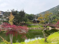 여행 - 충청남도 누리집(홈페이지) 충청남도 누리집(홈페이지)