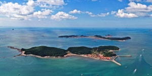 알림마당 메인 - 충청남도 누리집(홈페이지) 충청남도 누리집(홈페이지)
