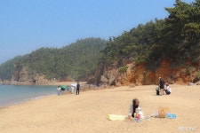 태안 해수욕장 추천 BEST 3곳, 천리포, 만리포, 파도리의 특별한 풍경들 충청남도 누리집(홈페이지)