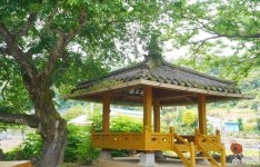 사람들 - 충청남도 누리집(홈페이지) 충청남도 누리집(홈페이지)