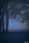 비 오는 날 떠난 충남 홍성 여행: 안개 속 백월산과 착한가격업소 '우렁마을' 충청남도 누리집(홈페이지)
