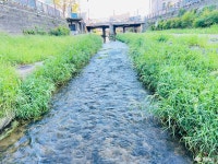 공주 국가유산야행_1926 공주 낭만연회와 산성시장 밤마실야시장, 낮부터 밤까지 즐긴 공주 여행 충청남도 누리집(홈페이지)