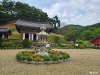 붉게 물든 천년고찰, 금산 보석사 꽃무릇 따라 걷는 가을 여행 충청남도 누리집(홈페이지)
