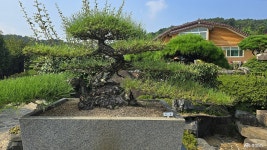 전체기사 - 충청남도 누리집(홈페이지) 충청남도 누리집(홈페이지)