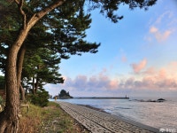 전체기사 - 충청남도 누리집(홈페이지) 충청남도 누리집(홈페이지)