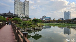 여행 - 충청남도 누리집(홈페이지) 충청남도 누리집(홈페이지)