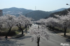 여행 - 충청남도 누리집(홈페이지) 충청남도 누리집(홈페이지)