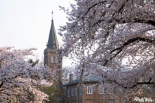 여행 - 충청남도 누리집(홈페이지) 충청남도 누리집(홈페이지)