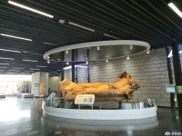 여행 - 충청남도 누리집(홈페이지) 충청남도 누리집(홈페이지)