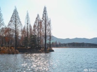 여행 - 충청남도 누리집(홈페이지) 충청남도 누리집(홈페이지)