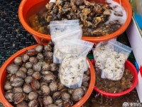 여행 - 충청남도 누리집(홈페이지) 충청남도 누리집(홈페이지)