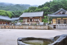 여행 - 충청남도 누리집(홈페이지) 충청남도 누리집(홈페이지)