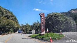 충남 공주시 동학사 가는 길 충청남도 누리집(홈페이지)