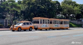 여행 - 충청남도 누리집(홈페이지) 충청남도 누리집(홈페이지)