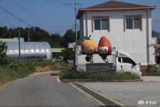 문화, 역사 - 충청남도 누리집(홈페이지) 충청남도 누리집(홈페이지)