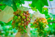 사는 이야기 - 충청남도 누리집(홈페이지) 충청남도 누리집(홈페이지)