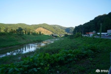 사는 이야기 - 충청남도 누리집(홈페이지) 충청남도 누리집(홈페이지)