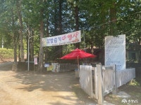 여행 - 충청남도 누리집(홈페이지) 충청남도 누리집(홈페이지)