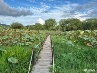 여행 - 충청남도 누리집(홈페이지) 충청남도 누리집(홈페이지)