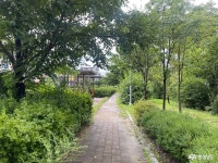 사는 이야기 - 충청남도 누리집(홈페이지) 충청남도 누리집(홈페이지)