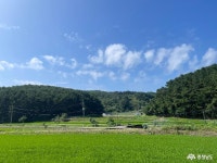 여행 - 충청남도 누리집(홈페이지) 충청남도 누리집(홈페이지)