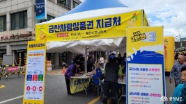 금산세계인삼축제 (제41회) 2023 THE41st 충청남도 누리집(홈페이지)