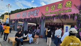 금산세계인삼축제 (제41회) 2023 THE41st 충청남도 누리집(홈페이지)