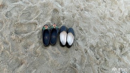 사람들 - 충청남도 누리집(홈페이지) 충청남도 누리집(홈페이지)