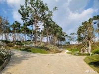 여행 - 충청남도 누리집(홈페이지) 충청남도 누리집(홈페이지)