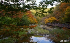 여행 - 충청남도 누리집(홈페이지) 충청남도 누리집(홈페이지)