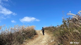 사는 이야기 - 충청남도 누리집(홈페이지) 충청남도 누리집(홈페이지)