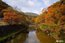 먹거리 - 충청남도 누리집(홈페이지) 충청남도 누리집(홈페이지)